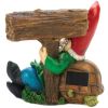 Solar Light-Up Welcome Garden Gnome and Turtle