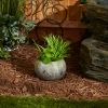 Natural-Look Garden Planter with Leaves - 3.75 inches