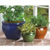 Embossed Jewel Tone Ceramic Planter Set