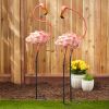 Flirty Flamingo Pair Lawn Decorations