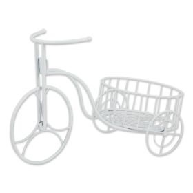 White Metal Tricycle Plant Display