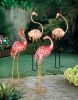 Bright Flamingo Yard Art - Looking Forward