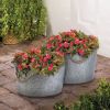 Galvanized Metal Planters with Rope Handles