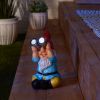 Gnome with Binoculars Solar Garden Light