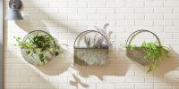 Half-Circle Galvanized Metal Wall Planter