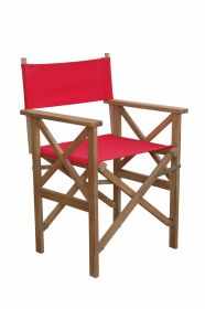 pDirector Folding Armchair with Canvas