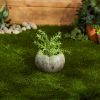 Natural-Look Garden Planter with Leaves - 3.75 inches