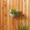 Galvanized Metal Wall Planter - Bird