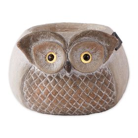 Owl Garden Planter with Solar Light-Up Eyes