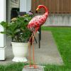 Bright Flamingo Yard Art - Looking Back